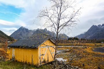 Fall in Lofoten islands, Norway