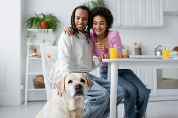 Blurred african american couple looking at labrador dog in kitchen.