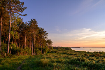 Fototapeta premium Boulder forest, Yarmouth