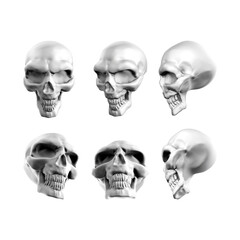 3d rendering of fantasy skull skeleton head from various perspectives view