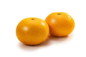 鹿児島県名産の柑橘類、紅甘夏