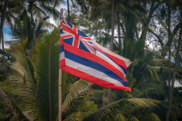 Hawaiian State flag waving near palm trees