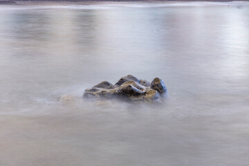 Roca en el mar