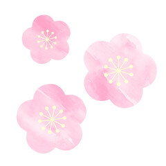 Fototapeta na wymiar watercolor pink plums