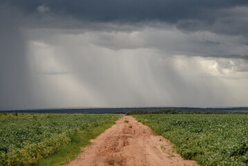 storm over the soy fields and dirt road 