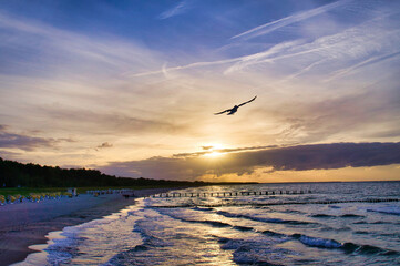 View over the beach to the Baltic Sea at sunset with seagulls in the sky.