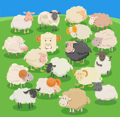 cartoon sheep and rams farm animals comic characters group