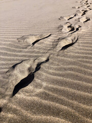 Fototapeta na wymiar windblown valleys in the sand dunes