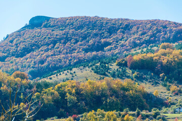 Autumn  Mountain Landscape with Colorful Trees . Balkan Mountains , Bulgaria