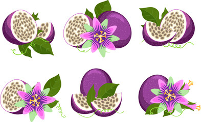 Maracuja and passiflora