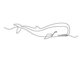 Continuous one line drawing of whale. Simple illustration of cachalot whale line art vector illustration © Line addict