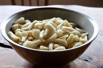 Flowers in the garden 