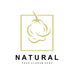 Cotton Logo, Natural Biological Organic Plant Design, Beauty Textile and Clothing Vector, Soft Cotton Flowers