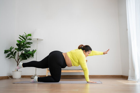 Asian Overweight Woman Doing Stretching Exercise At Home On Fitness Mat. Home Activity Training, Online Fitness Class. Stretching Training Workout On Yoga Mat At Home For Good Health And Body Shape.