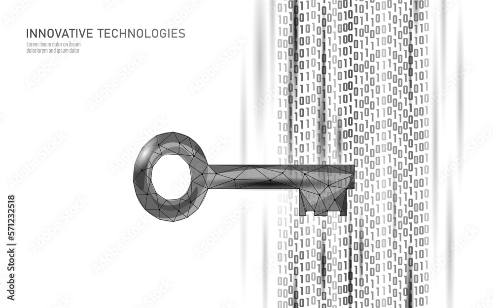 Wall mural cyber safety key on data mass. internet security lock information privacy low poly polygonal future 