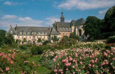 Rose, Jardins, Abbaye, Valloires, 80, Somme, France
