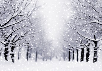 Alley of snow-covered trees in park during a snowfall. Black white winter outdoor abstract illustration.