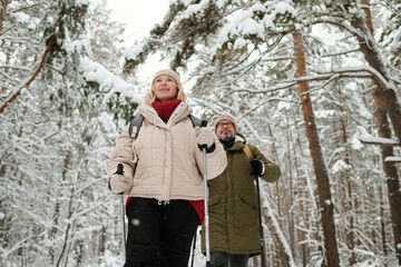 Mature blond woman in winterwear walking in front of her husband while both trekking in the forest on winter weekend or at leisure