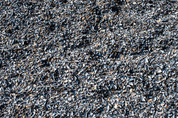 black and white sand