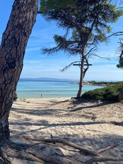 Obraz premium plaża