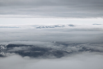 Dragobrat, Ukraine mountain landscape with fog and fir trees.