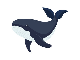 Whale vector flat illustration, isolated on white background. Seas and oceans, underwater world. Sea creatures. Big blue whale illustration. Aquatic marine mammal icon.