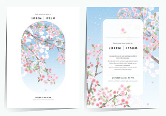 Vector editorial design frame set of Korean spring scenery with cherry trees in full bloom. Design for social media, party invitation, Frame Clip Art and Business Advertisement	 - 571248357