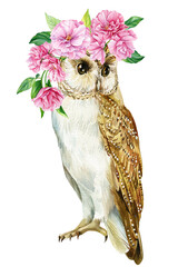 Cute owl and pink flowers on isolated white background. Watercolor hand draw forest bird. Spring children illustration, 