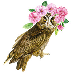 Cute owl and pink flowers on isolated white background. Watercolor hand draw forest bird. poster with owl 