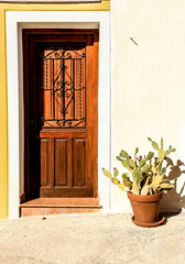Fototapeta na wymiar Old wooden door with cactus on pot