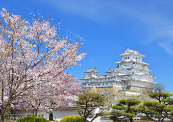 満開の桜と姫路城