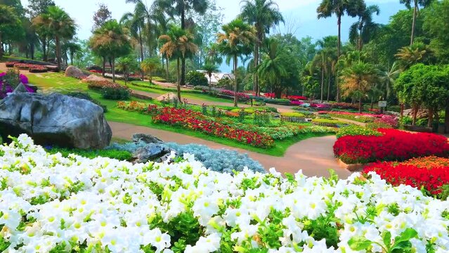 The flower beds in Mae Fah Luang garden, Doi Tung, Chiang Rai, Thailand