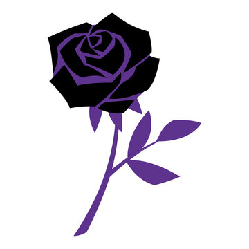 Illustration of black rose. Mystical image of gloomy flower.