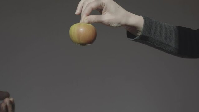 A hand on a dark background holds out a green apple holding it by the stalk. The other hand takes it and holds it in the palm of your hand. Apple of discord.