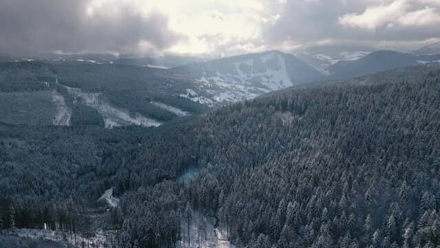 Aerial view of winter forest landscape in frozen countryside nature afer snowing