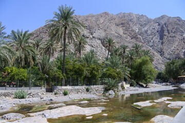 Fototapeta na wymiar Der Flußlauf an den heißen Quellen Ain Thowarah