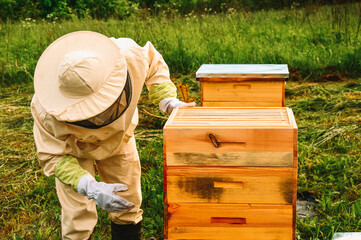 A beekeeper in a protective suit inspects a hive of bees. Eco apiary in nature. Bee wooden house....