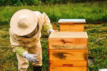 A beekeeper in a protective suit inspects a hive of bees. Eco apiary in nature. Bee wooden house. Production of natural honey. Multi-body hives for bees.