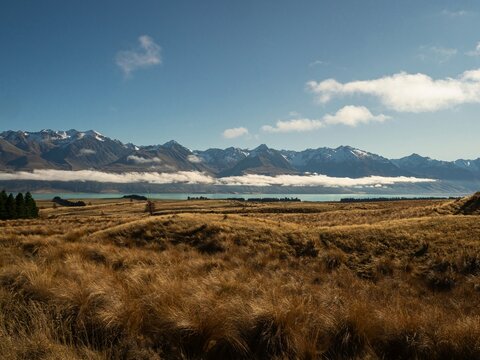 Alpine mountain landscape panorama of Southern Alps and Lake Pukaki with dry brown grass at Braemar Road New Zealand