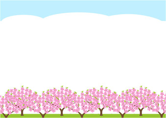 Background of peach orchard with flowers in full bloom