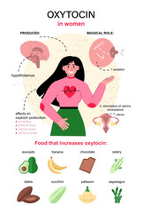 Oxytocin hormone infographics. Chemical strucuture affect on human