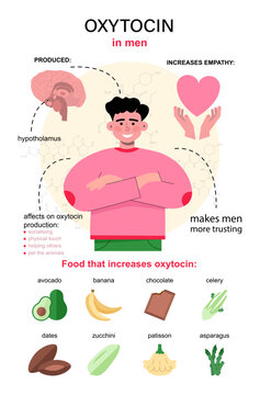 Oxytocin hormone infographics. Chemical strucuture affect on male body