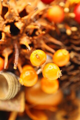 沢山の木の実が付いた可愛い秋冬クリスマスリースのアップ