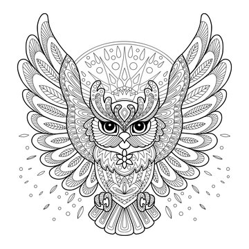 Owl adult antistress coloring page vector illustration