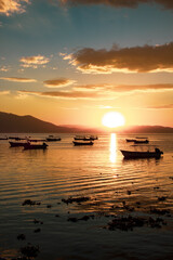 Boats floating on a lake at sunset with marine plants in the water