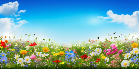 Schilderijen op glas Spring landscape with colorful wildflowers in a green meadow on a blue day, generative AI © FrankBoston