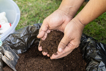 Hand holding peat moss organic matter improve soil for agriculture organic plant growing, ecology concept.