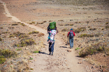Porters carrying heavy load on his back walks along the road.