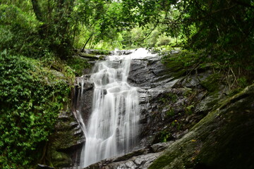 Fototapeta na wymiar Shiny Waterfall - Isabella Falls