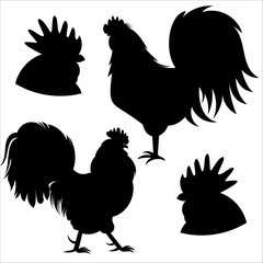Vector silhouette of rooster on white background.